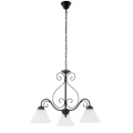 7813 800.jpg