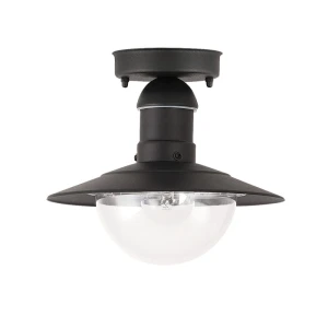 Oslo 8716 Rabalux Lampa sufitowa zewnętrzna | Czarna