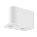 Downlight | Tuba Kobald biały mat 2xGU10 Regulowany kierunek świecenia Rabalux 2054 | 5998250320540 noxbox lampynox www.lampynox.pl