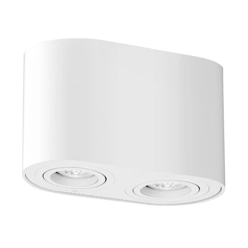 Downlight | Tuba Kobald biały mat 2xGU10 Regulowany kierunek świecenia Rabalux 2052 | 5998250320526 noxbox lampynox www.lampynox.pl