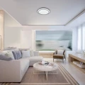Lampa sufitowa ściemnialna Lupita srebrny Ø 49cm. LED Dim. 40W 3000-6500K Pilot Rabalux 2131 | 5998250321318 noxbox lampynox www.lampynox.pl