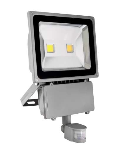 Naświetlacz szary PIR LED 2xCOB, HOME LINE, 70W, 4900 lm, 3000K czujka ruchu i zmierzchu EcoEnergy EE-09-545 | 5901619308233 noxbox lampynox www.lampynox.pl