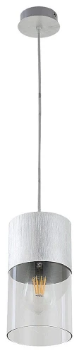 Lampa wisząca Zelkova aluminium szczotkowane Ø 12cm. E27 Rabalux 3154 | 5998250331546 noxbox lampynox www.lampynox.pl