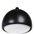 acorn1-1600_1.jpg