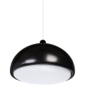Lampa sufitowa ACORN II Olcha | Czarna farba | Biała E27