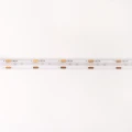 Taśma LED COB ściemnialna LED COB Dim. 480szt./1m 12V 9W/1m IP65 Zielona /5M/ Ecolight EC79998 | 5901986799986 noxbox lampynox www.lampynox.pl