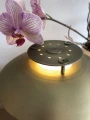 Lampa podłogowa 1123 Mosiądz Ø18 2xG9 738502 | 5705639738502 noxbox lampynox www.lampynox.pl