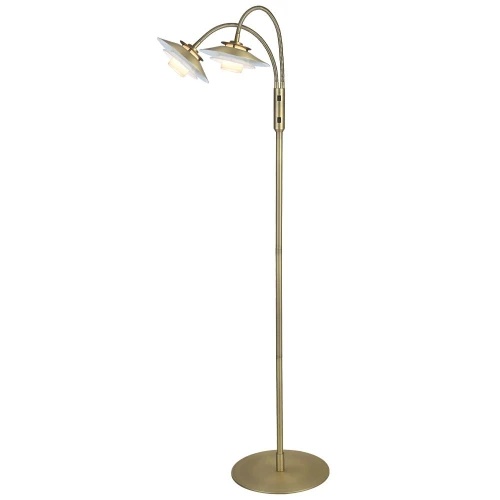 Lampa podłogowa 1123 Mosiądz Ø18 2xG9 738502 | 5705639738502 noxbox lampynox www.lampynox.pl