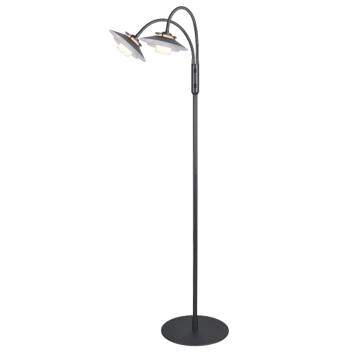 Lampa podłogowa 1123 Czarna Ø18 2xG9 733361 | 5705639733361 noxbox lampynox www.lampynox.pl