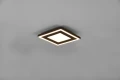 Plafon CARUS czarny mat 20x20cm. LED COB 10W | 7W 3000K RL R67212032 | 4017807541465 noxbox lampynox www.lampynox.pl