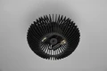 Lampa sufitowa COLINO czarny mat 2xE27 Trio 615900232 | 4017807540321 noxbox lampynox www.lampynox.pl