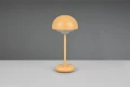 Lampka stołowa zewnętrzna ELLIOT pomarańcz LED dim. 2W 3000K IP44 RL R52306183 | 4017807540956 noxbox lampynox www.lampynox.pl