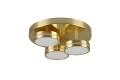 Lampa sufitowa FRANKLIN mosiądz mat ⌀35cm. LED 3 step dim 3x8,5W 3000K Trio 626510308 | 4017807538120 noxbox lampynox www.lampynox.pl