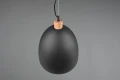 Lampa wisząca JAGGER czarny mat ⌀40cm E27 RL R30681932 | 4017807522402 noxbox lampynox www.lampynox.pl