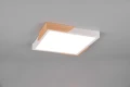 Lampa sufitowa ściemnialna META Biały mat | Brąz  LED 3 step dim. 20W 3000K RL R67191131 | 4017807541366 noxbox lampynox www.lampynox.pl