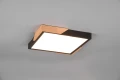 Lampa sufitowa ściemnialna META Czarny mat | Brąz  LED 3 step dim. 20W 3000K RL R67191132 | 4017807541380 noxbox lampynox www.lampynox.pl