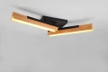 Lampa sufitowa regulowana ściemnialna KERALA czarny mat | brąz LED 3 step dim. 2x12,5W 3000K Trio 641610232 | 4017807542431 noxbox lampynox www.lampynox.pl