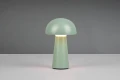 Lampka stołowa zewnętrzna LENNON zielony LED dim. 2W 3000K ładowarka USB IP44 RL R52176149 | 4017807541236 noxbox lampynox www.lampynox.pl