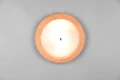 Lampa sufitowa PALI brąz Ø32cm. 2xE27 Trio 612600230 | 4017807526325 noxbox lampynox www.lampynox.pl