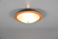 Lampa sufitowa PALI brąz Ø32cm. 2xE27 Trio 612600230 | 4017807526325 noxbox lampynox www.lampynox.pl