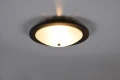 Lampa sufitowa PALI ciemny brąz Ø32cm. 2xE27 Trio 612600256 | 4017807526585 noxbox lampynox www.lampynox.pl