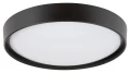 Lampa sufitowa sterowana aplikacją i pilotem Achilles czarny Ø 50cm. LED Wi-Fi Dim. 40W 2700-6500K RGB Pilot Rabalux 3146 | 5998250331461 noxbox lampynox www.lampynox.pl