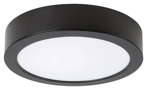 Plafon łazienkowy Shaun czarny Ø 22cm. LED 24W 4000K IP44 Rabalux 2692 | 5998250326924 noxbox lampynox www.lampynox.pl