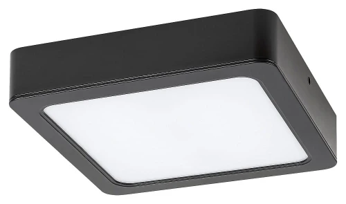 Plafon łazienkowy Shaun czarny LED 24W 4000K IP44 Rabalux 2693 | 5998250326931 noxbox lampynox www.lampynox.pl