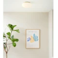 Lampa sufitowa Twist Mosiądz ⌀25 G9 739523 | 5705639739523 noxbox lampynox www.lampynox.pl