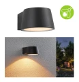 Kinkiet zewnętrzny CAPEA antracyt LED COB 6W 2200K IP44 paulmann 94713 | 4000870947135 noxbox lampynox www.lampynox.pl