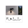 Kinkiet zewnętrzny z czujnikiem ruchu i zmierzchu CAPEA antracyt LED COB PIR 6W 3000K IP44 paulmann 94453 | 4000870944530 noxbox lampynox www.lampynox.pl