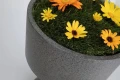 Lampa zewnętrzna z donicą Concrea czarny piaskowiec wys. 26cm. LED 5,5W 3000K IP65 paulmann 94503 | 4000870945032 noxbox lampynox www.lampynox.pl