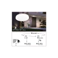 Zewnętrzna lampa sufitowa odporna na sól morską z czujnikiem ruchu i zmierzchu Circula beż Ø32 cm. PIR LED 14W 3000K IP44 paulmann 94528 | 4000870945285 noxbox lampynox www.lampynox.pl