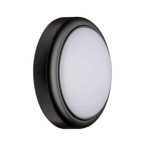 Kinkiet zewnętrzny Anox antracyt LED 15W 3000K paulmann 94188 | 4000870941881 noxbox lampynox www.lampynox.pl