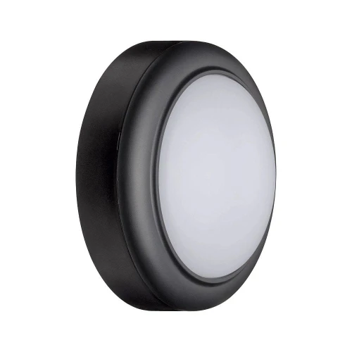 Kinkiet zewnętrzny Anox antracyt LED 8W 3000K paulmann 94119 | 4000870941195 noxbox lampynox www.lampynox.pl