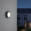 Kinkiet zewnętrzny Anox antracyt LED 8W 3000K paulmann 94119 | 4000870941195 noxbox lampynox www.lampynox.pl