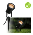 Reflektor ogrodowy wbijany Goldlicht czarny GU10 LED 4,3W 2200K IP65 paulmann 94731 | 4000870947319 noxbox lampynox www.lampynox.pl