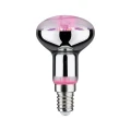 Żarówka do uprawy roślin 4W R50 LED E27 1300K paulmann 28734 | 4000870287347 noxbox lampynox www.lampynox.pl