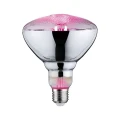 Żarówka do uprawy roślin 6,5W PAR38 LED E27 1300K paulmann 28737 | 4000870287378 noxbox lampynox www.lampynox.pl