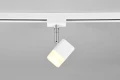 ROUBAIX biały mat LED Dim. 3,5W 3000K do systemu szyn 2-fazowych DUOLINE Reflektor ściemnialny trio 78150131 | 4017807505870 noxbox lampynox www.lampynox.pl noxbox lampynox www.lampynox.pl