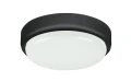 Plafon zewnętrzny Hort czarny LED 15W 4000K IP54 rabalux 7407 | 5998250374079 noxbox lampynox www.lampynox.pl
