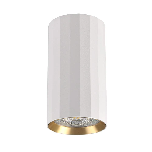Downlight tuba natynkowa Nicea biały | złoty Ø 5,5cm. GU10 goldlux 323460 | 5901508323460 noxbox lampynox www.lampynox.pl