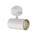 Spot ścienno sufitowy Nicea biały | złoty Ø 5,5cm. GU10 goldlux 323477 | 5901508323477 noxbox lampynox www.lampynox.pl