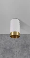 Downlight tuba natynkowa Arras biały | złoty Ø 5,5cm. GU10 goldlux 323583 | 5901508323583 noxbox lampynox www.lampynox.pl