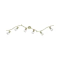 Spot LEVISTO Mosiądz Mat 6 xE14 Trio 871010608 | 4017807281743 noxbox lampynox www.lampynox.pl