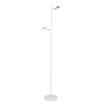 Lampa podłogowa stojąca Rawi biała LED 7,4W 3000K goldlux 318398 | 5901508318398 noxbox lampynox www.lampynox.pl