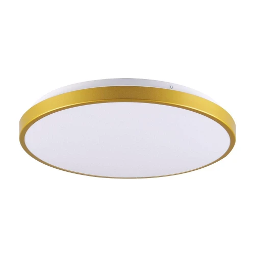 Plafon Kern 30 złoty Ø 29cm. LED 15W 4000K goldlux 318725 | 5901508318725 noxbox lampynox www.lampynox.pl