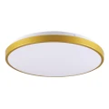 Plafon Kern 40 złoty Ø 39cm. LED 24W 4000K goldlux 318008 | 5901508318008 noxbox lampynox www.lampynox.pl