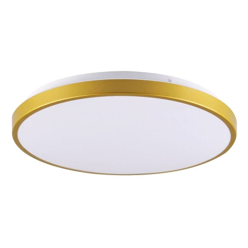 Plafon Kern 40 złoty Ø 39cm. LED 24W 4000K goldlux 318008 | 5901508318008 noxbox lampynox www.lampynox.pl