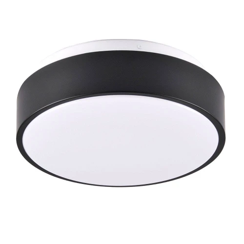 Plafon łazienkowy Rene czarny Ø 28cm. LED 15W 4000K IP44 goldlux 317445 | 5901508317445 noxbox lampynox www.lampynox.pl